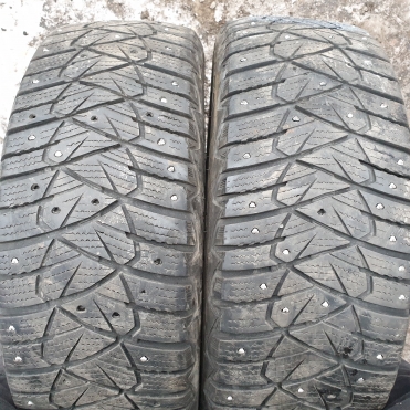 Dunlop Ice Touch 205/55R16 