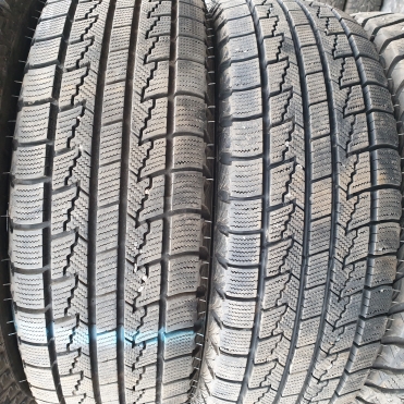 Roadstone WINGUARD ICE 195/65R15 