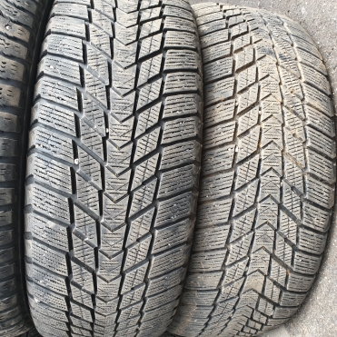 Nexen Winguard Ice Plus 225/55R17 